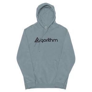 Algorithm Embroidered pigment-dyed hoodie